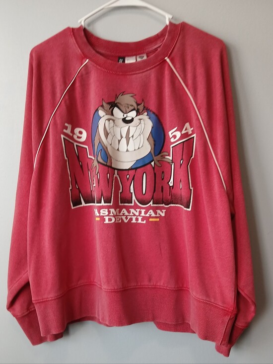 Divided Tops - Warner Brothers New York Tazmanian Devil